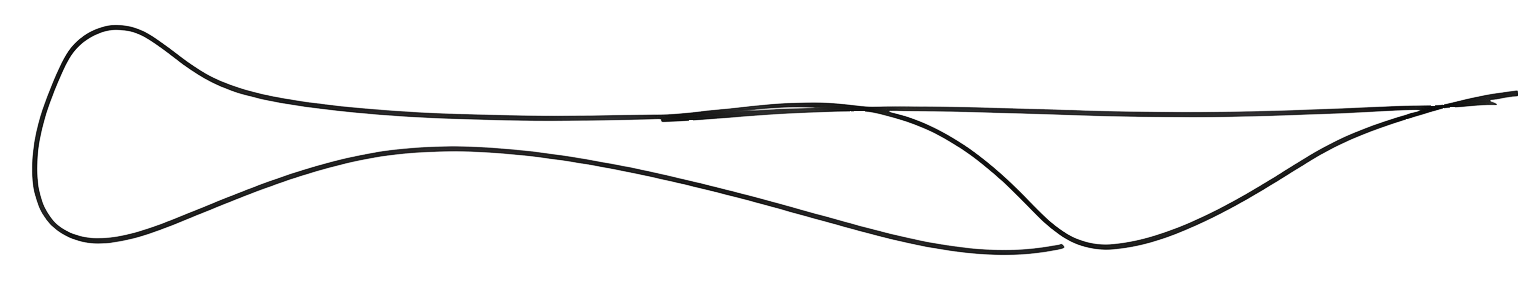 squiggle